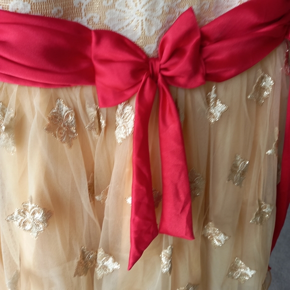 dress - Picture 3 of 5